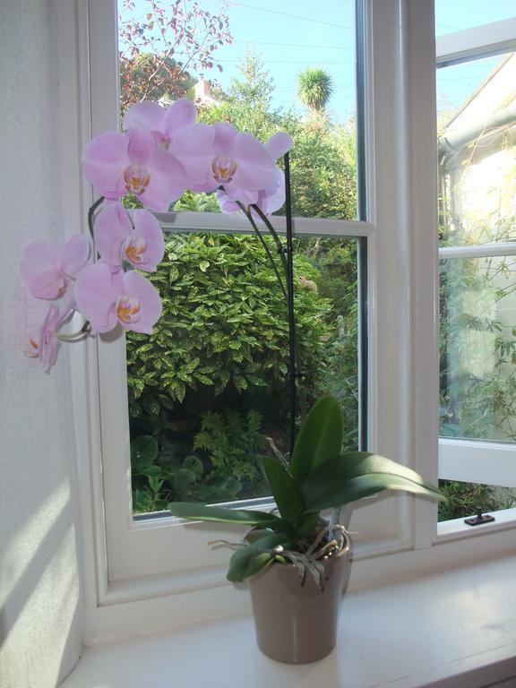 The Fernery B&B Lynton Rom bilde